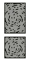 Fingerprint identification symbol icon set in flat style. Security authentication. Vector illustration isolated on white