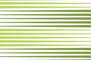 simple modern abstract seamless green tea colour horizontal errow line pattern on white background vector