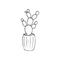 dibujado a mano cactus en un maceta vector