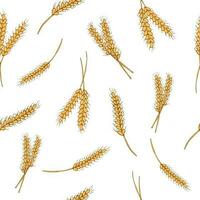 Seamless pattern Wheat ears on white background vector