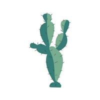 Hand drawn cacti flower, tropical green leaves. vector