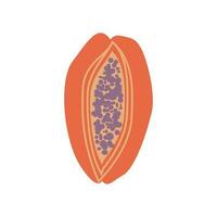 Papaya fresh organic fruit vector