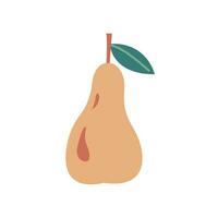 Ripe juicy pear vector