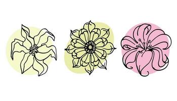 Flowers vector set illustration in simple minimal continuous outline line style. Nature blossom art for floral botanical logo design. Isolated on white background. photo