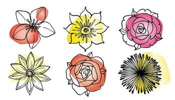 Flowers vector set illustration in simple minimal continuous outline line style. Nature blossom art for floral botanical logo design. Isolated on white background. photo