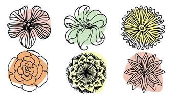 Flowers vector set illustration in simple minimal continuous outline line style. Nature blossom art for floral botanical logo design. Isolated on white background. photo