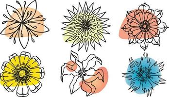 Flowers vector set illustration in simple minimal continuous outline line style. Nature blossom art for floral botanical logo design. Isolated on white background.