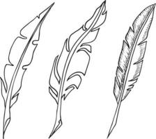 Set of bird feathers. Hand drawn illustration converted to vector. Outline with transparent background vector