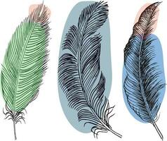 Set of bird feathers. Hand drawn illustration converted to vector. Outline with transparent background vector