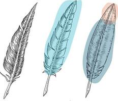 Set of bird feathers. Hand drawn illustration converted to vector. Outline with transparent background vector