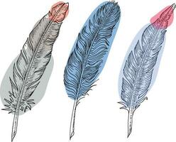 Set of bird feathers. Hand drawn illustration converted to vector. Outline with transparent background vector