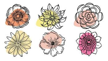 Flowers vector set illustration in simple minimal continuous outline line style. Nature blossom art for floral botanical logo design. Isolated on white background. photo