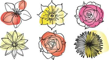 Flowers vector set illustration in simple minimal continuous outline line style. Nature blossom art for floral botanical logo design. Isolated on white background.