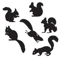 Squirrel silhouette. Set. Vector illustration isolated on white background