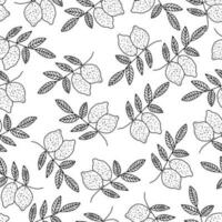 Black and white outline lemon seamless pattern vector