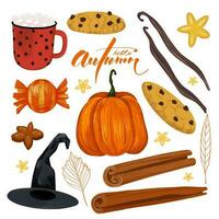 conjunto de otoño elementos. calabaza, galletas, dulce, Víspera de Todos los Santos bruja sombrero, jarra de cacao, canela palos, hojas, anís, vainilla palos especias y dulces colección vector