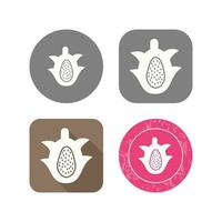 Dragon Fruit Vector Icon