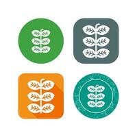 Tobacco Leafs Vector Icon