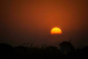 silueta de arboles y edificio durante puesta de sol foto