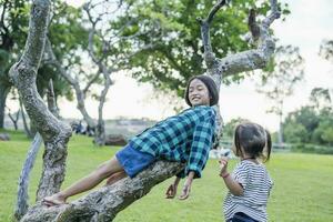 Sureste asiático pequeño niña alpinismo un árbol a explorar naturaleza contento niños jugando en el parque juguetón niños teniendo divertido en el bosque en verano. foto