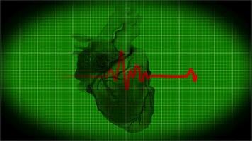 heart beat pulse line displaying in cardiograph monitor video