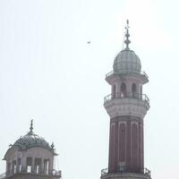 ver de detalles de arquitectura dentro dorado templo - harmandir sahib en amritsar, Punjab, India, famoso indio sij punto de referencia, dorado templo, el principal santuario de sijs en amritsar, India foto