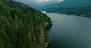 antenn Drönare se över pittoresk capilano sjö i norr vancouver, Kanada. video