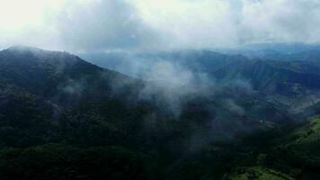 aereo Visualizza di il alberi nel il valle con nebbia nel il mattina. paesaggio di nebbioso valle e montagna nuvole nel Tailandia. il alba di il montagne con il mare di nebbia. video