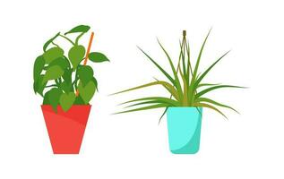 Set of house plants. Interior Scandinavian design. Design element. photo