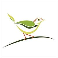 Tailor Bird stylize premium vector illustration