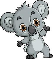 Cartoon funny little koala posing vector