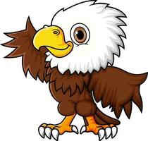 Cartoon funny little eagle posing vector