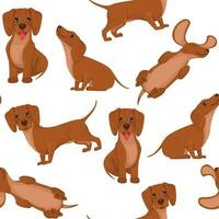 Pattern dachshund dog, cheerful friend, pet, lie down, run and have fun. Vector in cartoon