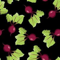 Seamless pattern of fresh red beets with green leaves on a dark background vector