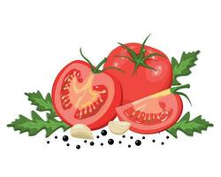 Fresh red tomatoes. Vegetables. Half a tomato, a slice and a whole tomato. Composition of tomatoes with arugula, garlic and spices. Vector illustration