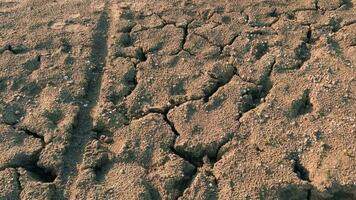 de droog bodem van de rivier, de gebarsten zanderig oppervlak, geleidelijk bochten in een woestijn. video