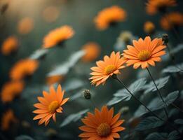 flower background, aesthetic photo