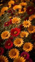 colourfull flower background. photo