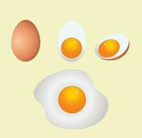 egg  with half  and fried egg vector