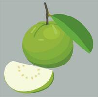 guava with green color vector