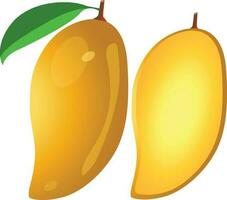 mango with yellow  color vector