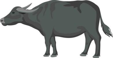 buffalo vector  with high resolution