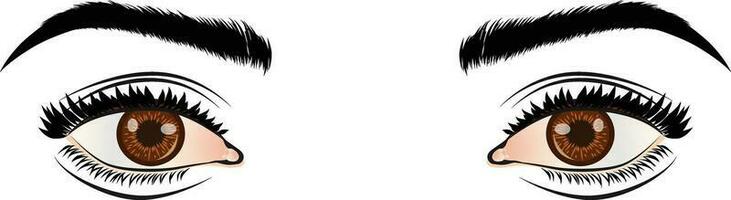 couple of people eyes vector