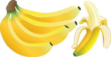 banana vector  with high resolution