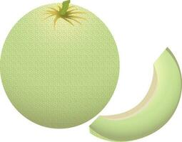 green melon with delicious favor vector