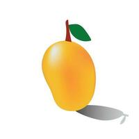 fresh yellow mango vector illustration. mango slices illustration.