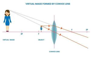 Convex lens forms virtual image, Upright, located behind the lens, cannot be projected vector