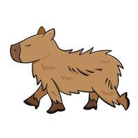 Capybara wild animals vector illustration colored outlined isolated on square white background. Simple flat cartoon art styled wildlife drawing.