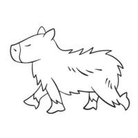 Capybara wild animals vector illustration black outlined drawing isolated on square white background. Simple flat cartoon art styled wildlife drawing.