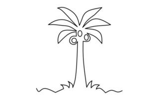 coconut tree line drawing isolated on white background. vector illustration.